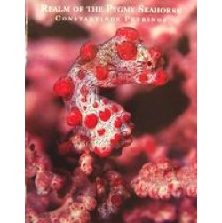 Realm of the Pygmy Seahorse